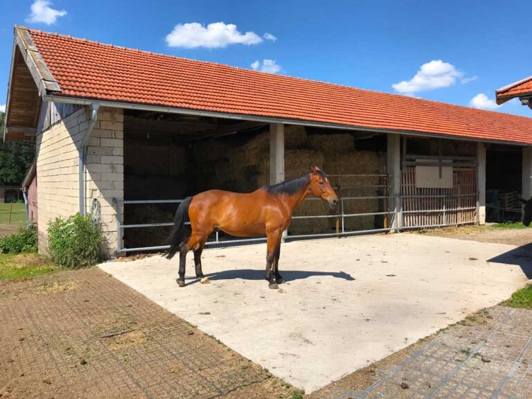 Braunes Pferd im offenen Stall des Bauernhofs "Beim Hofbauer" vor gestapelten Strohballen.