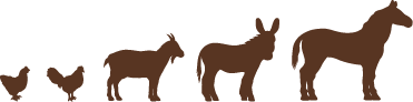 Silhouetten von Bauernhoftieren: Zwei Hühner, eine Ziege, ein Esel und ein Pferd – typisches Landleben auf dem Ferienbauernhof „Beim Hofbauern“ in Tittmoning.